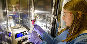 SwRI cell expansion research receives additional $5.3 million in funding