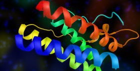 Texas BioMed Researchers Find New Mutation in the Leptin Gene